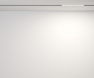 Трековый светильник Technical TR106-2-12W4K-B