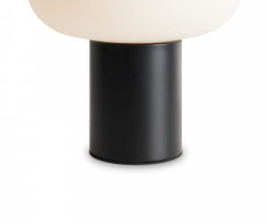 Настольный светильник Freya FR6175TL-L10B