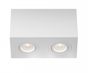 Потолочный светильник Technical C017CL-02W