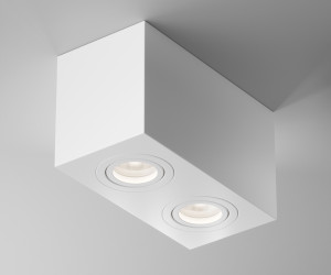 Потолочный светильник Technical C017CL-02W