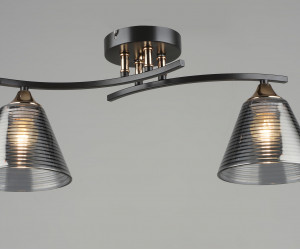 Потолочная люстра SL8241-2 CF+GD 000065848