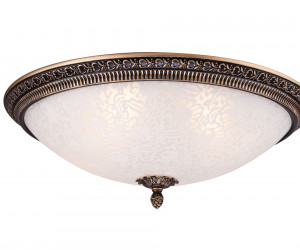 Потолочный светильник Maytoni C908-CL-04-R