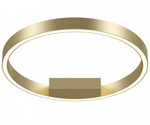 Потолочный светильник Maytoni MOD058CL-L25BS4K