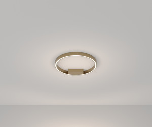 Потолочный светильник Maytoni MOD058CL-L25BS4K