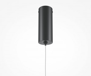 Подвесной светильник Maytoni MOD246PL-L12BK