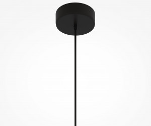 Подвесной светильник Maytoni MOD398PL-01S