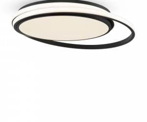 Потолочный светильник Freya FR10032CL-L98B