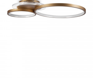 Потолочный светильник Freya FR10014CL-L63G