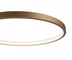 Потолочный светильник Freya FR10014CL-L63G