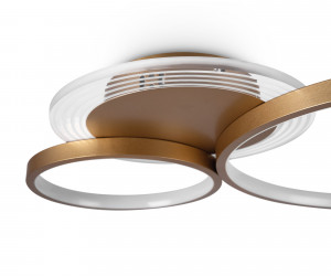 Потолочный светильник Freya FR10014CL-L63G