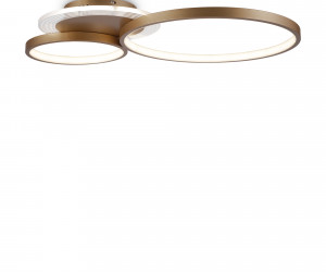 Потолочный светильник Freya FR10014CL-L63G