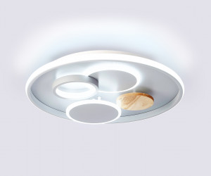 FL4803 GR серый 3000K-6400K 70W D500*95 (ПДУ ИК)