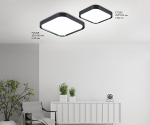 FZ1262 BK черный 18W 5000K 250*250*60 (Без ПДУ)