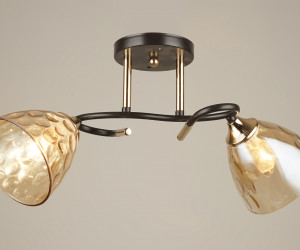 Потолочная люстра SS1120-2 CF+GD 000067898