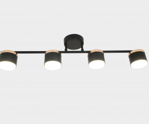 Потолочный светильник SS9039-4SP BK+FGD 000085565