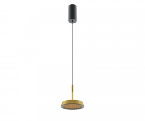 Подвесной светильник Maytoni MOD041PL-L15G3K