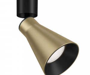 Потолочный светильник Technical C061CL-01MG