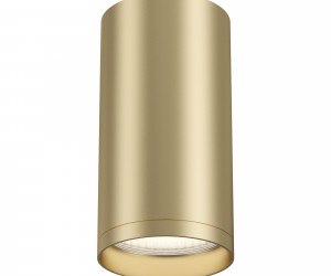 Потолочный светильник Technical C052CL-01MG