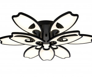 FA581/6+3 BK черный 162W 700*640*120 (ПДУ РАДИО 2.4G)