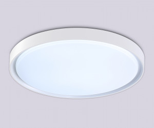 FZ1246 WH белый IP54 12W 5000K D240*60 (Без ПДУ)