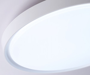 FZ1246 WH белый IP54 12W 5000K D240*60 (Без ПДУ)