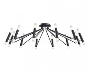 Потолочный светильник Maytoni MOD620CL-24B