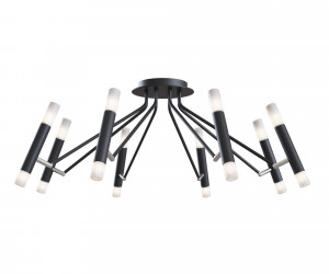 Потолочный светильник Maytoni MOD620CL-16B