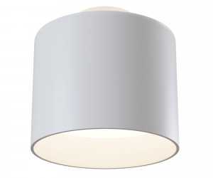 Потолочный светильник Technical C009CW-L12W