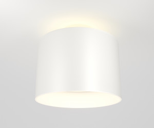 Потолочный светильник Technical C009CW-L12W