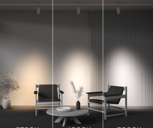 Трековый светильник Technical TR197-3-30WCCT-M-W