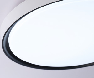 FZ1247 WH/BK белый/черный IP54 20W 5000K D300*60 (Без ПДУ)