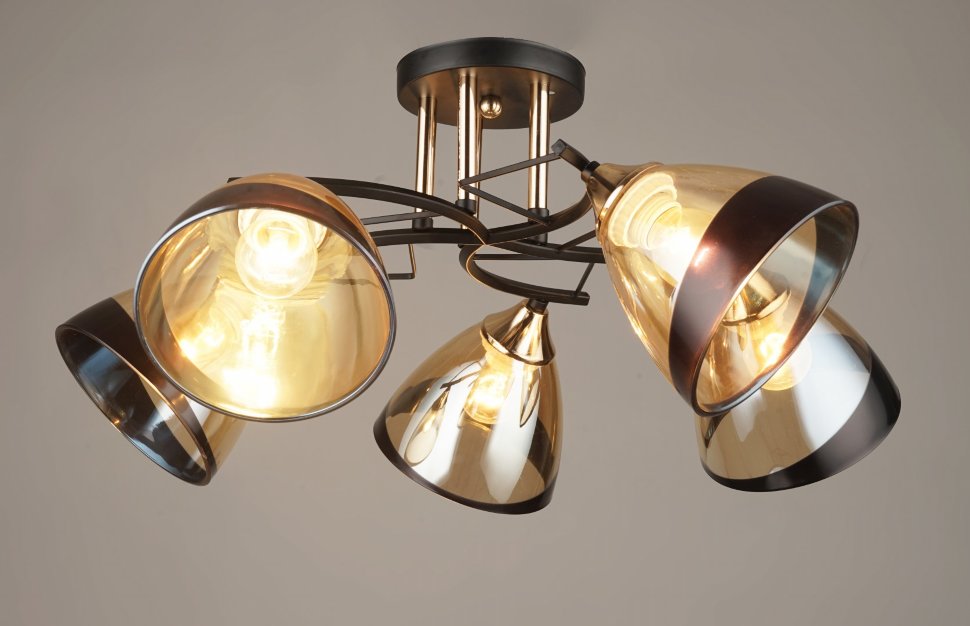 ВР-N4018/5 BK+FGD (4) светильник потолочный [01098589]