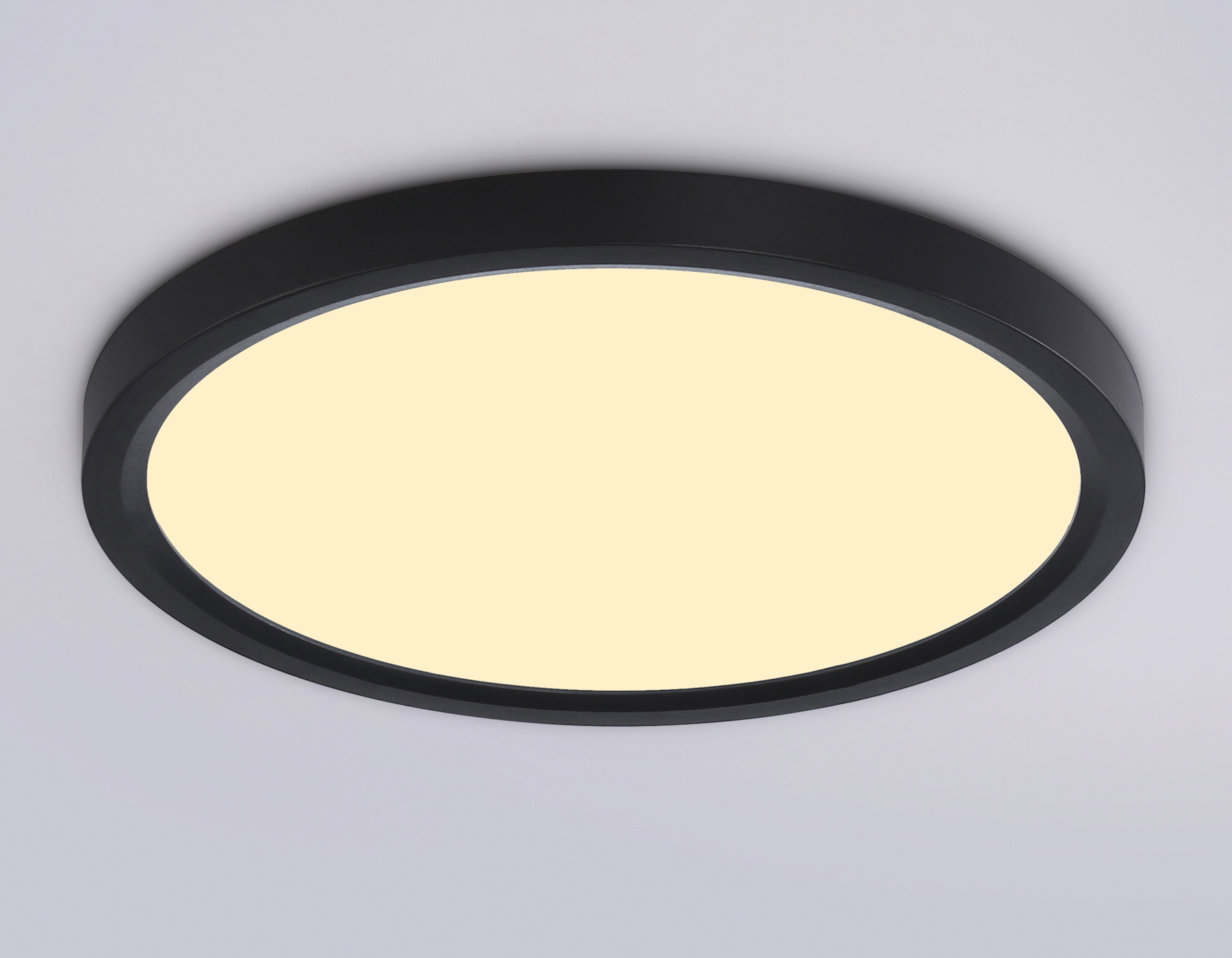 FZ1904 BK черный IP54 20W 3000K-6500K CCT-переключатель D300*25 (Без ПДУ)