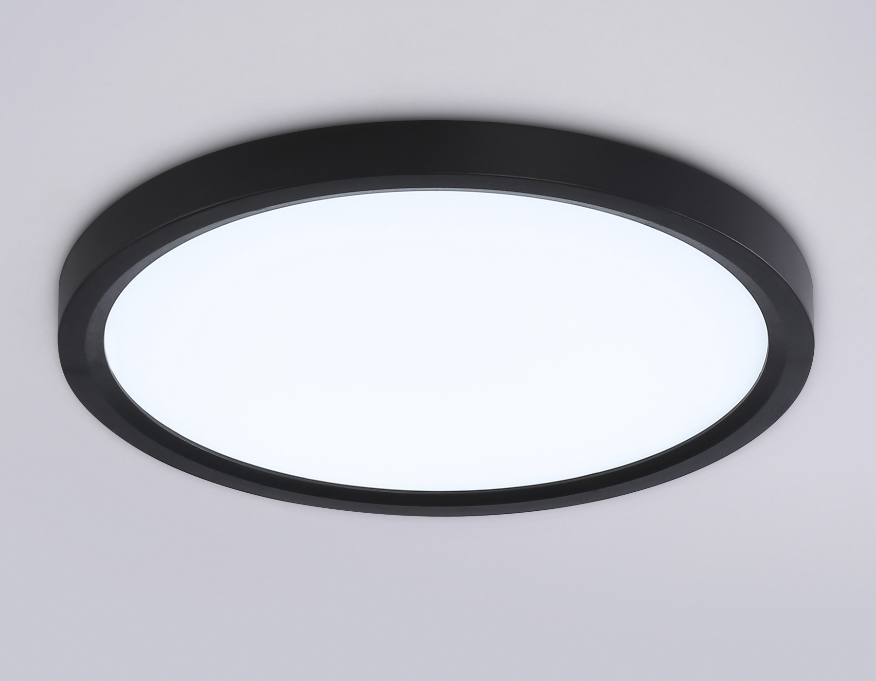 FZ1904 BK черный IP54 20W 3000K-6500K CCT-переключатель D300*25 (Без ПДУ)