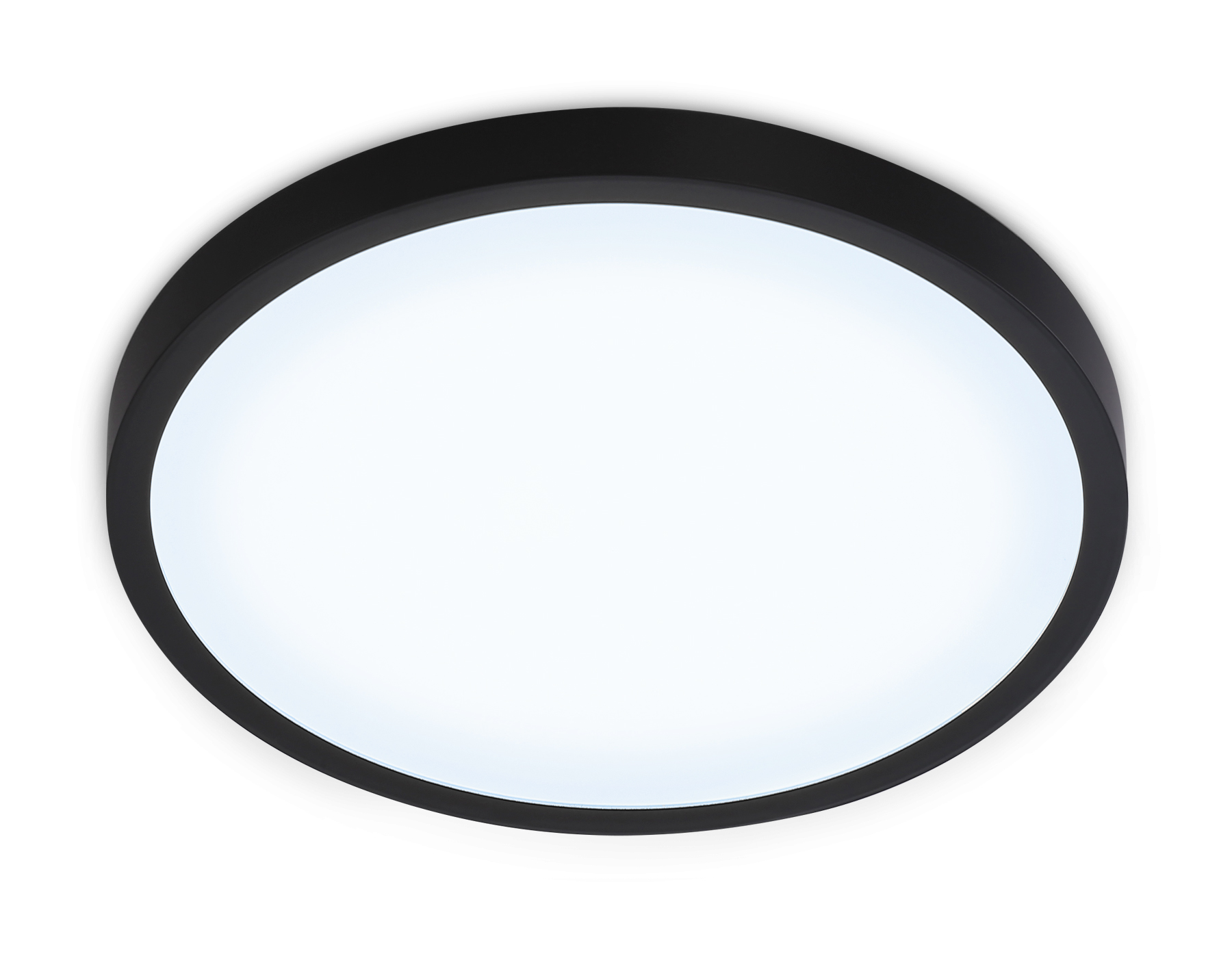 FZ1953 BK черный IP54 20W 5000K D270*15 (Без ПДУ)