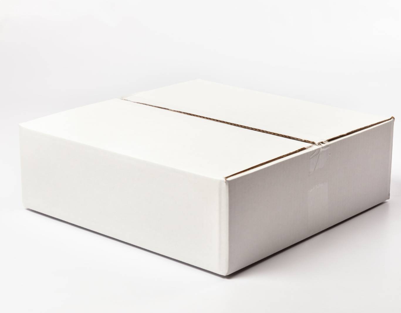 Подвесной светильник R1011-1P-450 WT 000031181