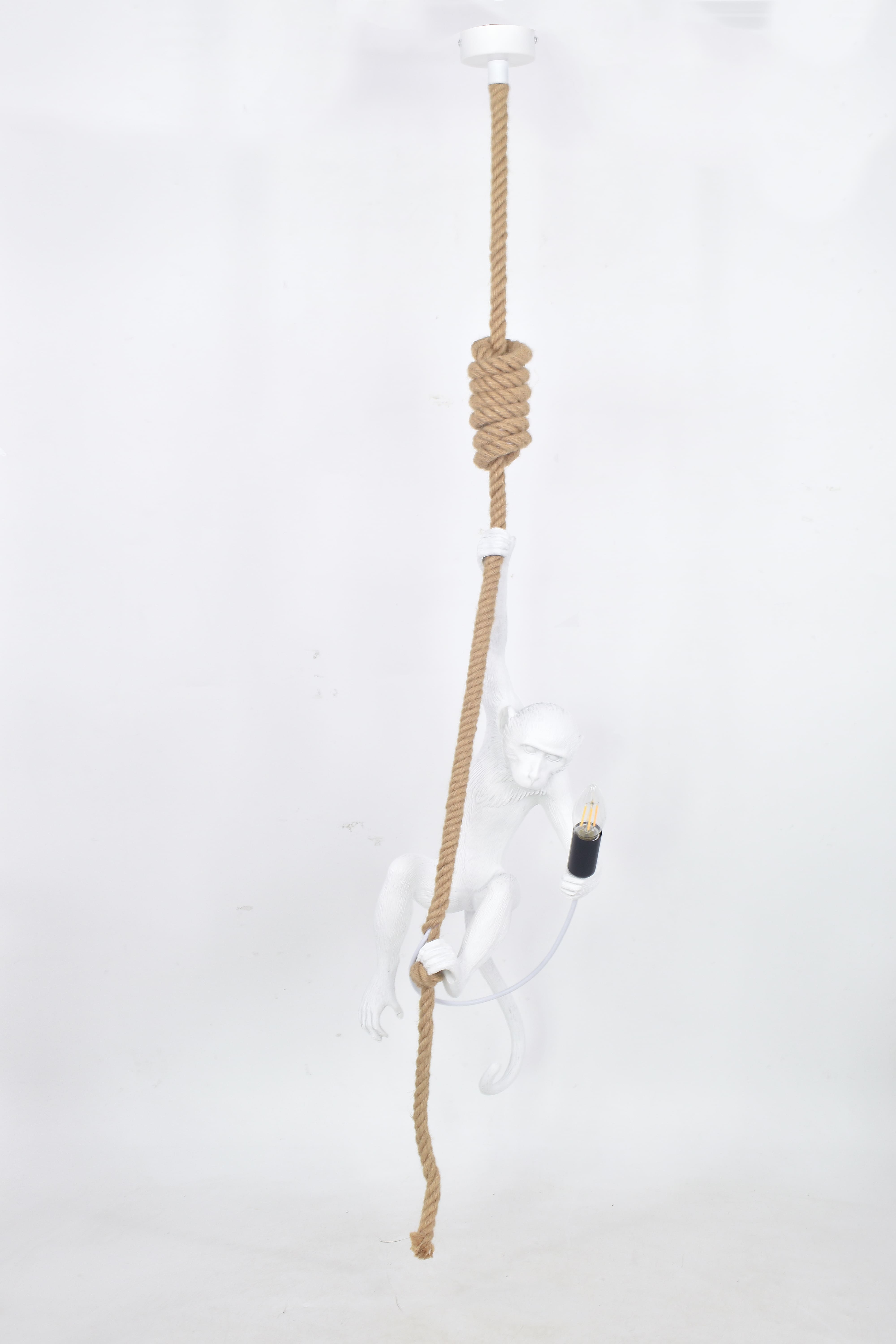 Подвесной светильник PS6025-1 WT 000062582