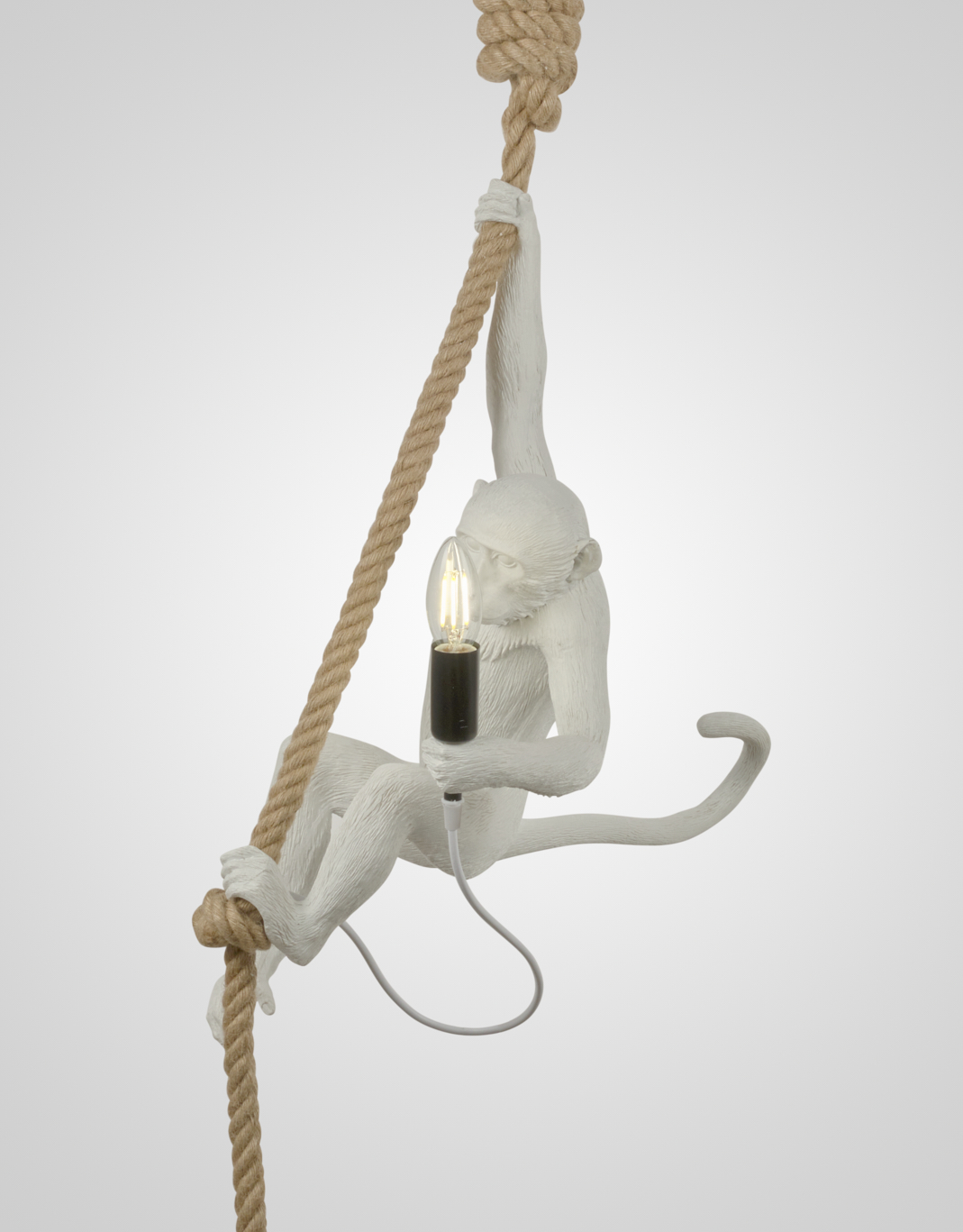 Подвесной светильник PS6025-1 WT 000062582