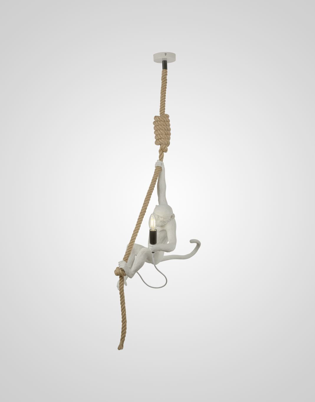 Подвесной светильник PS6025-1 WT 000062582