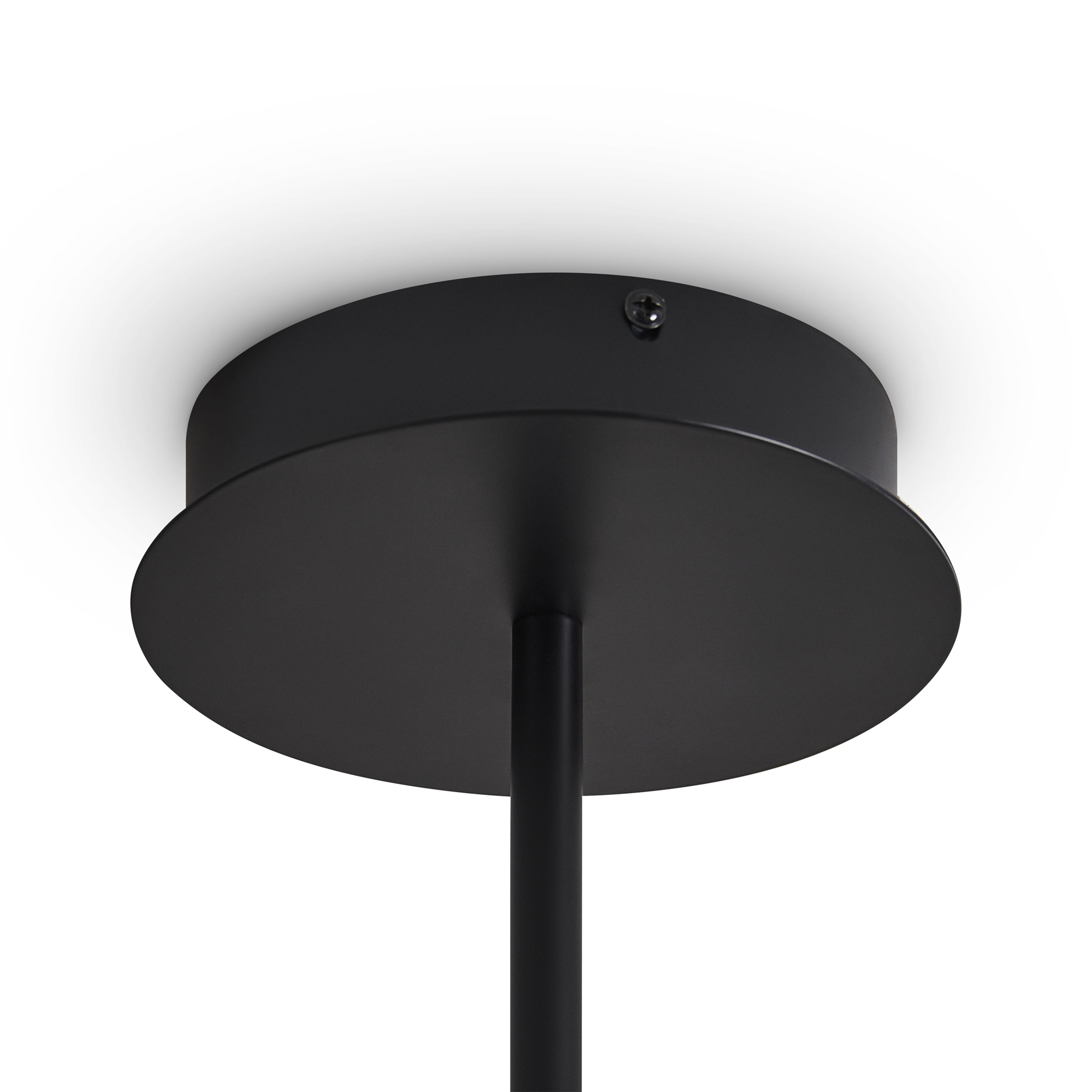 Потолочный светильник Freya FR5541CL-L30B