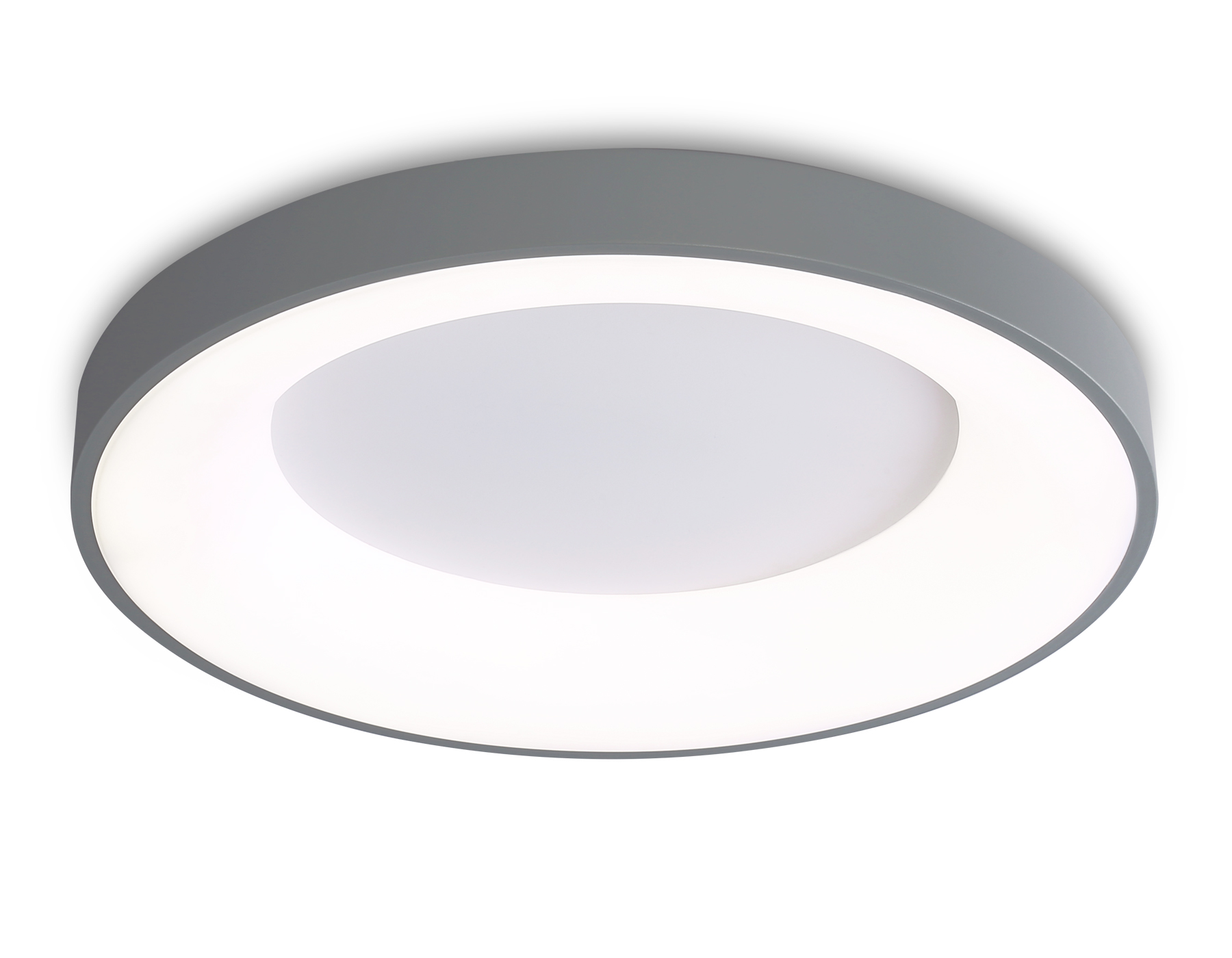 FZ1402 GR серый IP20 48W 3000K-6500K D500*50 (ПДУ ИК)