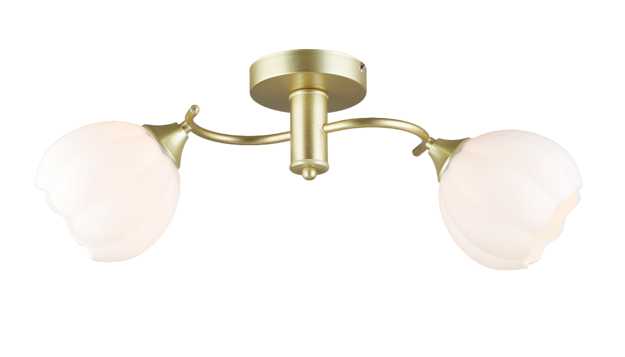 Потолочная люстра SL4840-2 GD 000066031