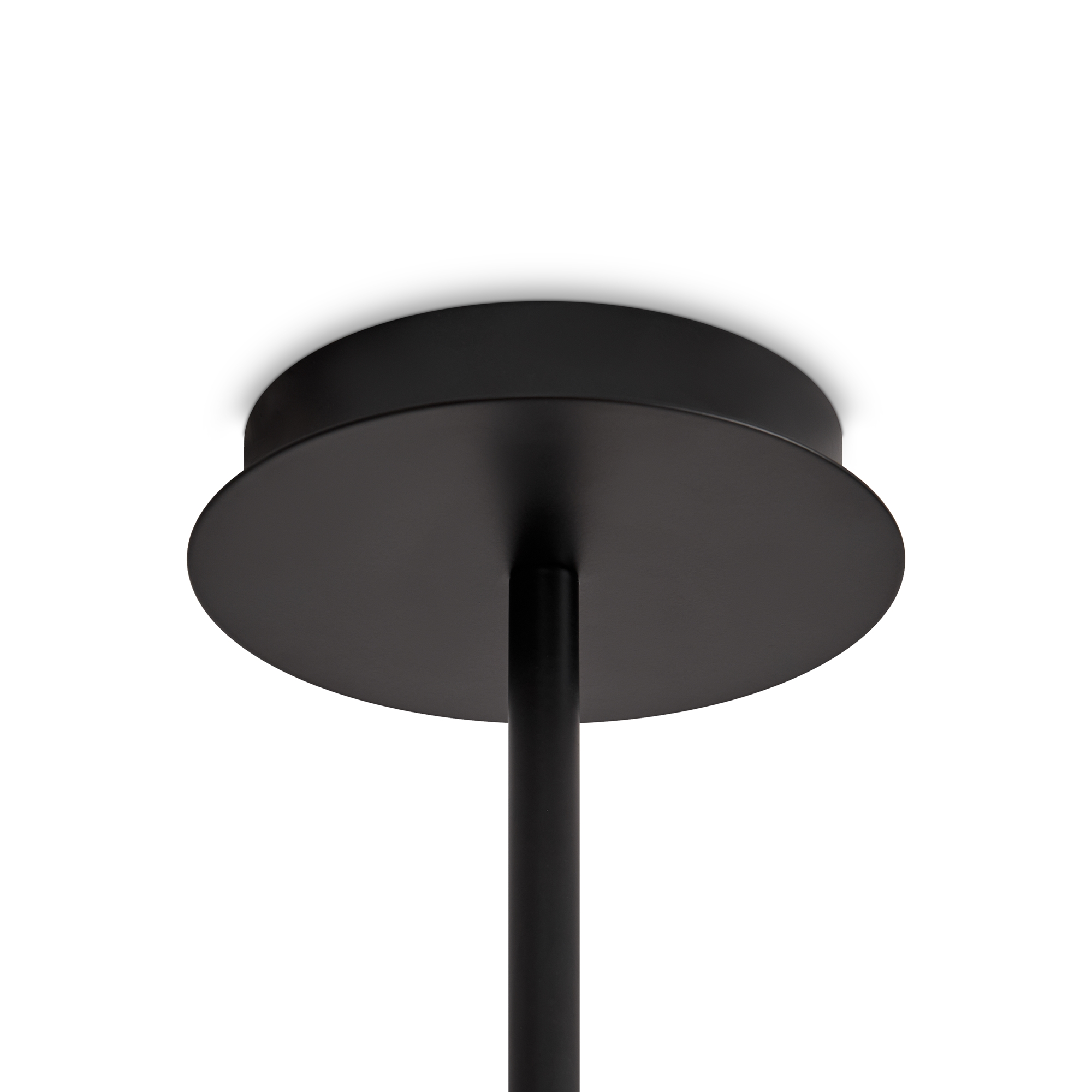 Потолочный светильник Freya FR5544CL-10B