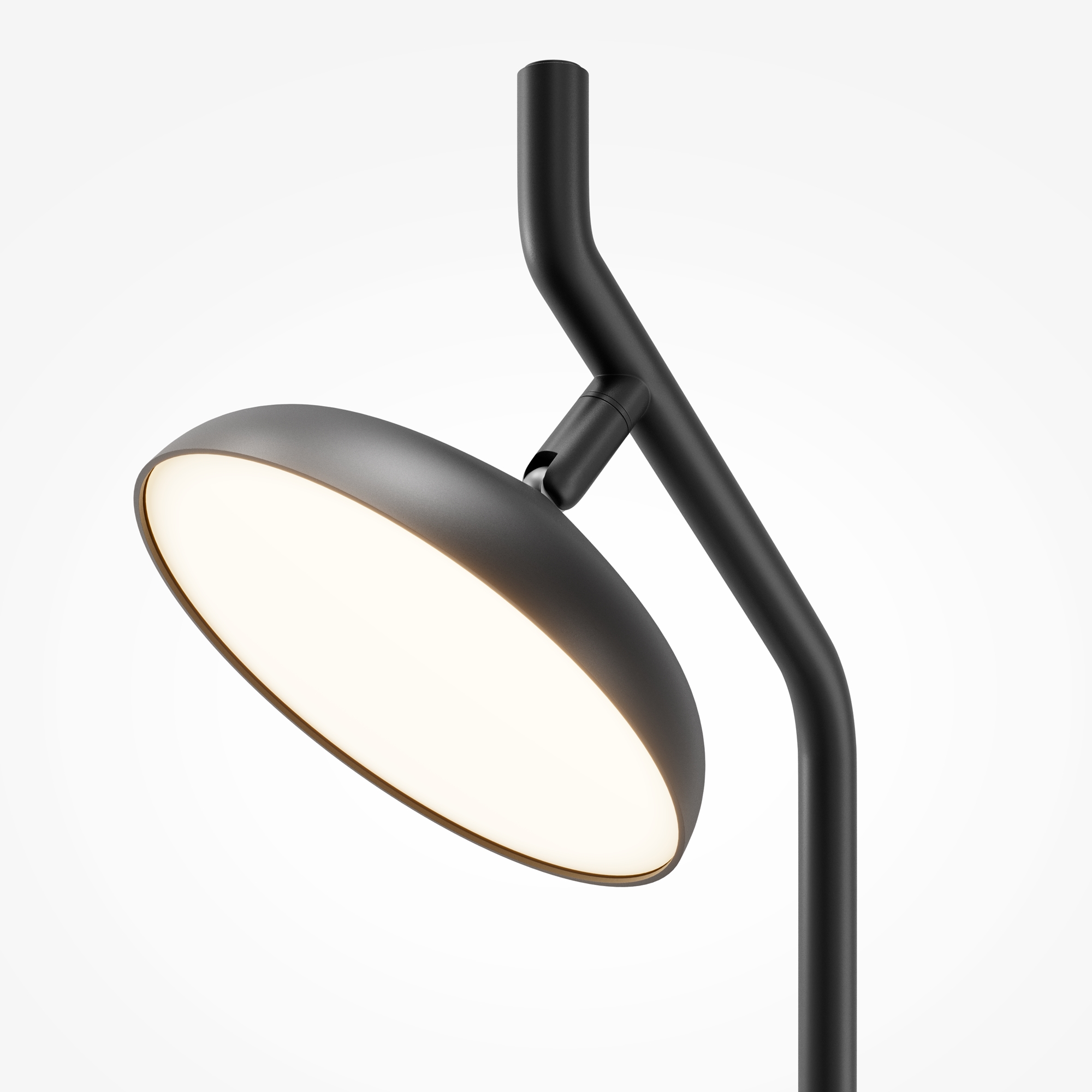 Настольный светильник Maytoni MOD451TL-L8B3K1