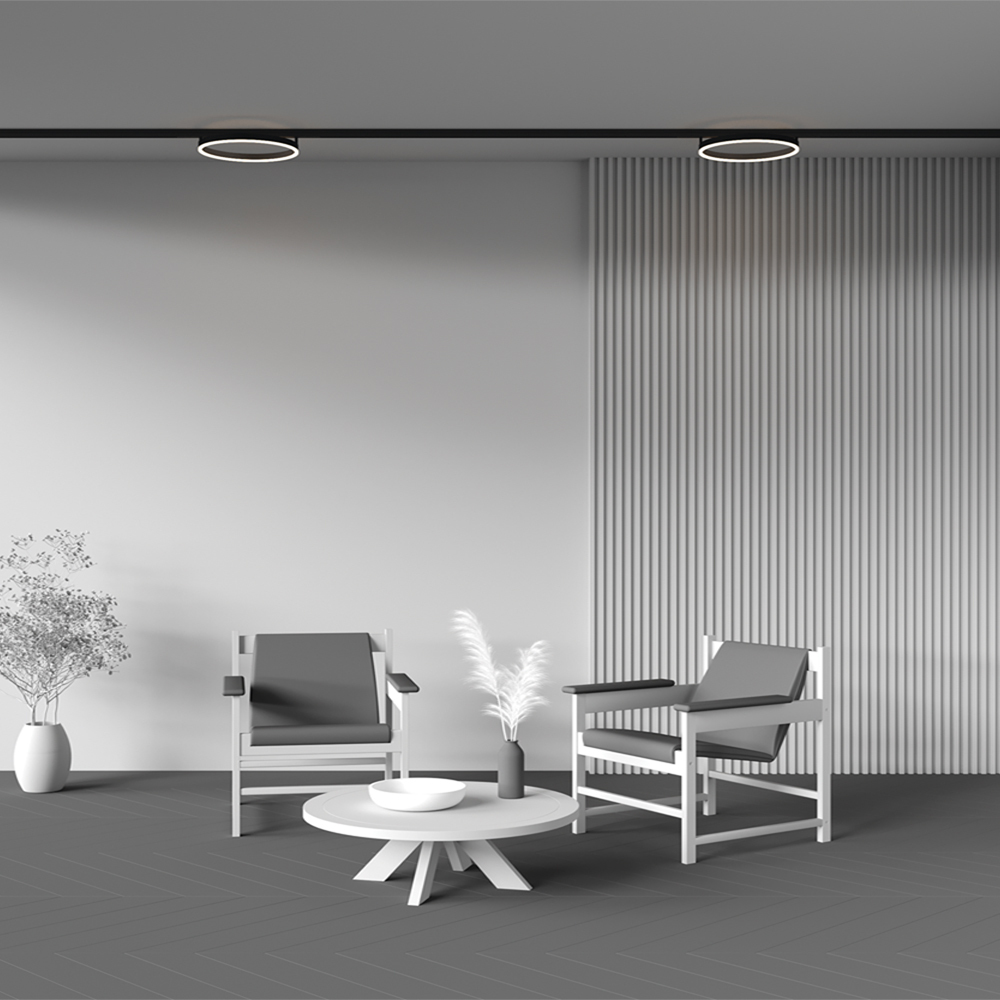 Трековый светильник Technical TR227-2-24W3K-B