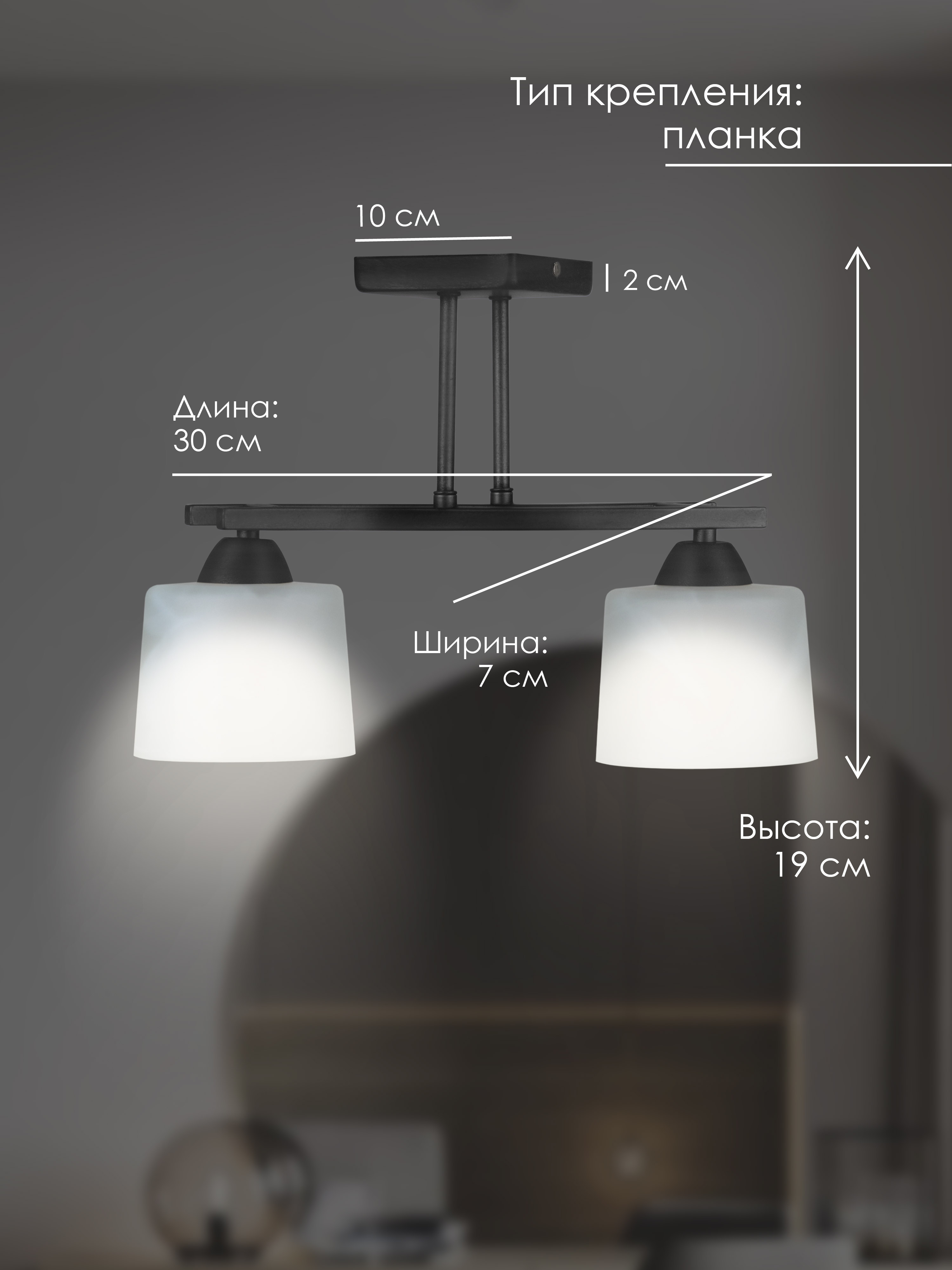 Потолочный светильник SS5274-2 BK 000061920