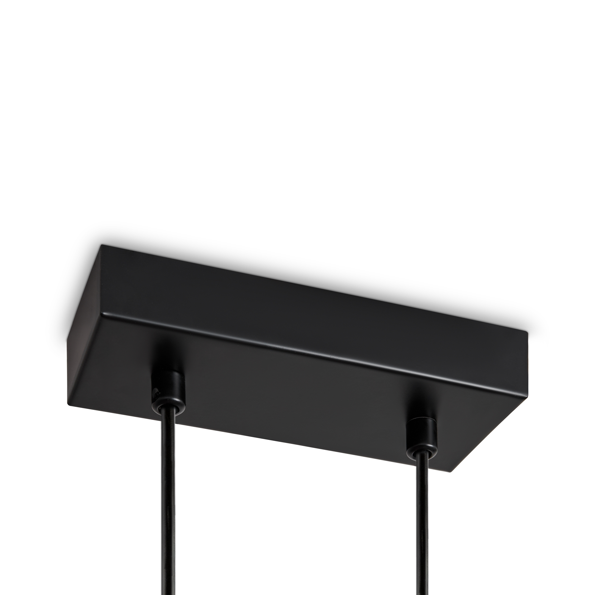 Подвесной светильник Freya FR5536PL-L14B