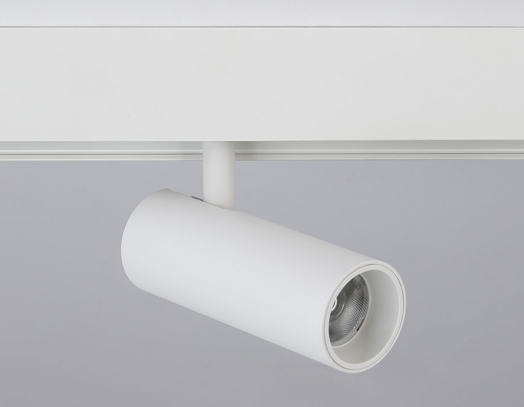 GL3819 WH белый IP20 10W 4200K 48V 24° D47*128