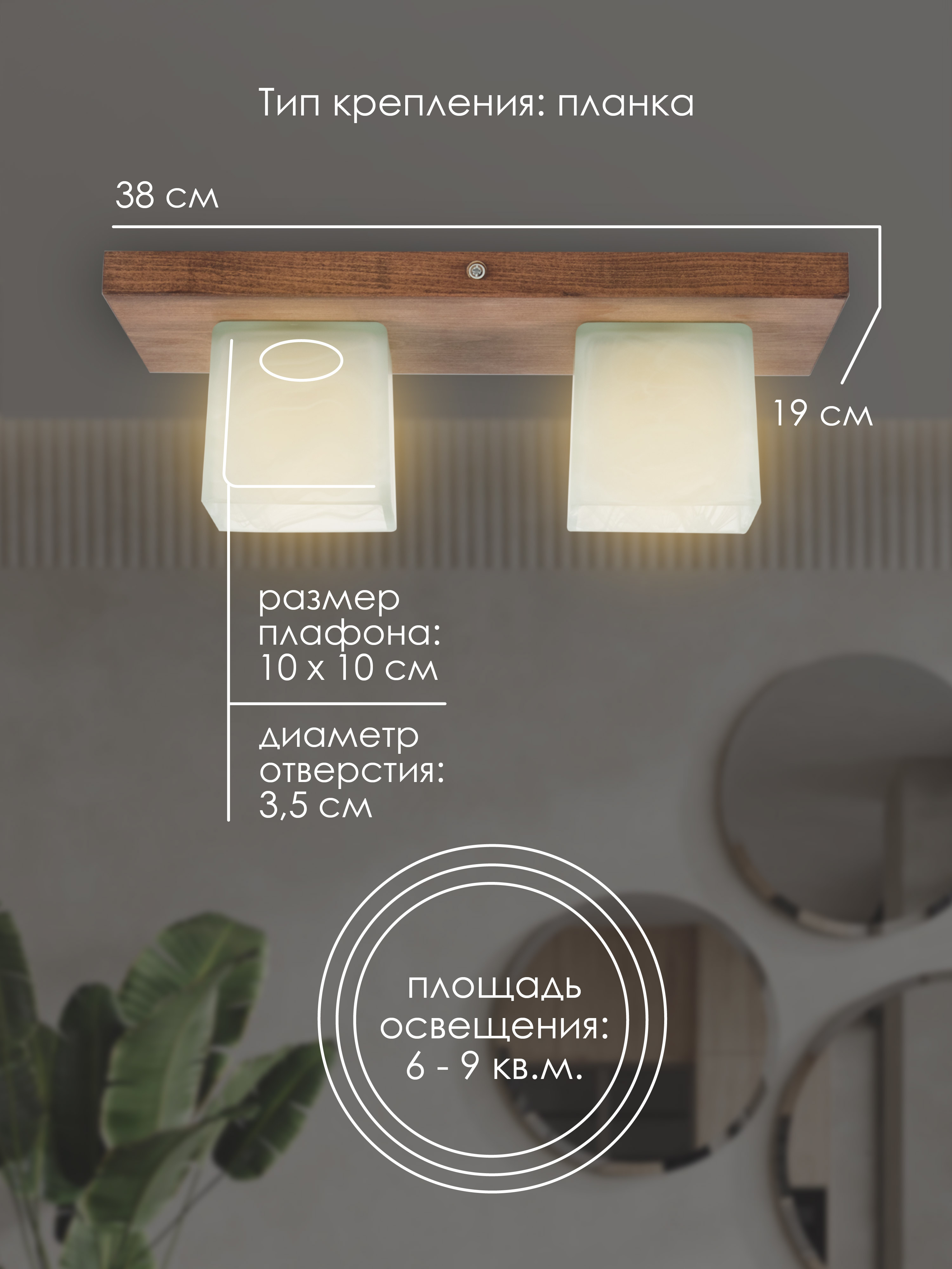 Потолочный светильник 6424-2 PR 000036797