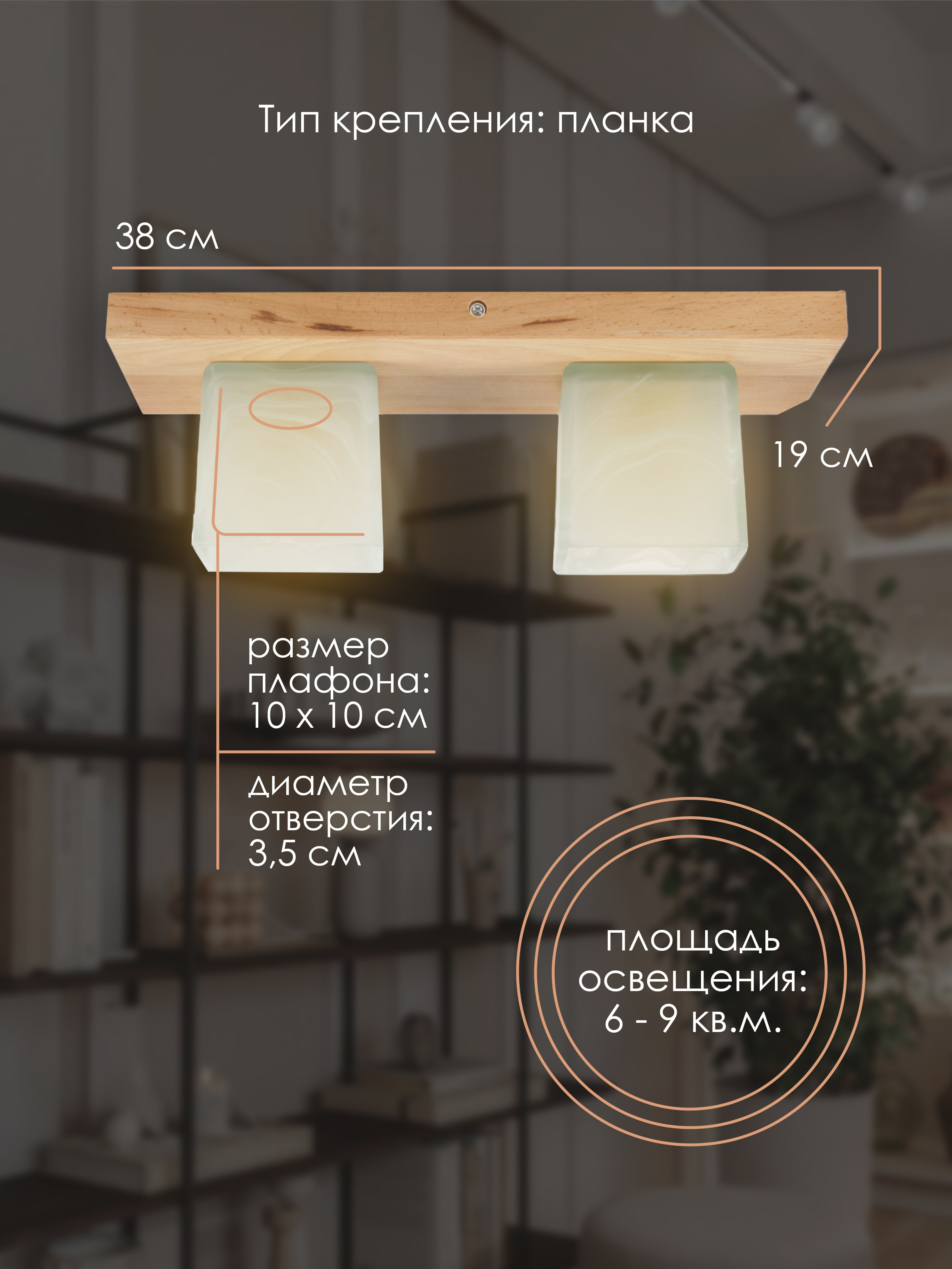 Потолочный светильник 6424-2 NL 000036811